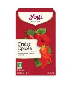 Fraise épicée BIO, 17&nbsp;sachets